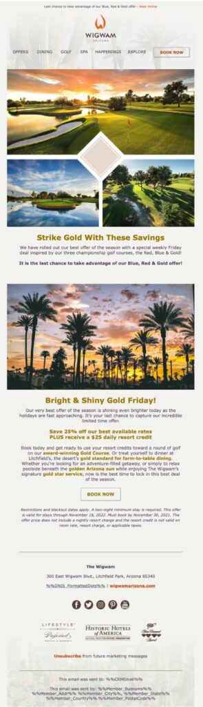 Black Friday email campaign from The Wigwam