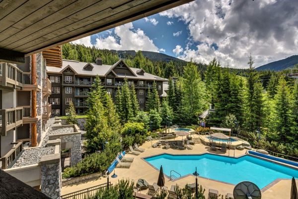 A pool surrounded by trees at a Clique Hotels & Resorts property