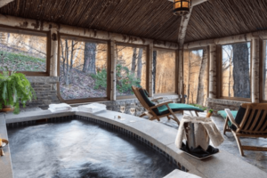 Twin Farms Featured Image