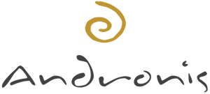 Andronis logo