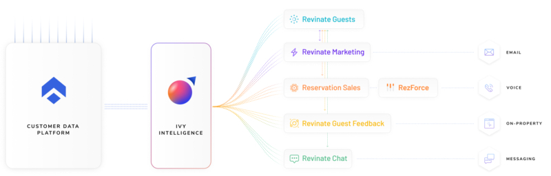 Best Hotel Decision Intelligence Platform - Revinate