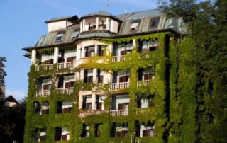 Hotel with green foliage growing on the exterior