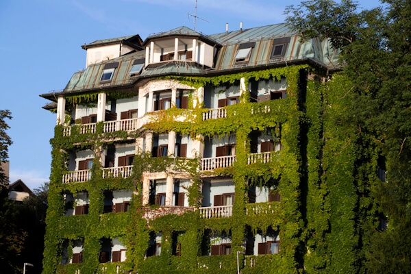Hotel with green foliage growing on the exterior