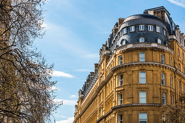 Hotel exterior with brown trees against a blue sky.