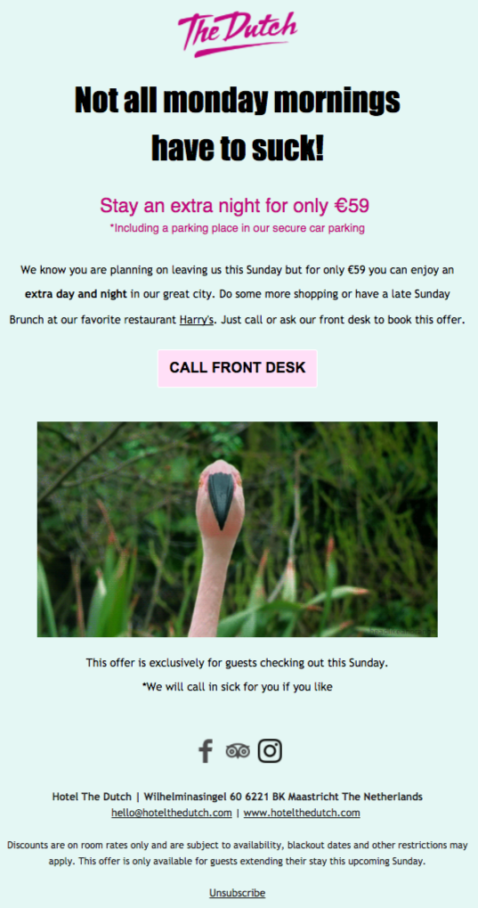 The Dutch hotel email campaign with good deliverability
